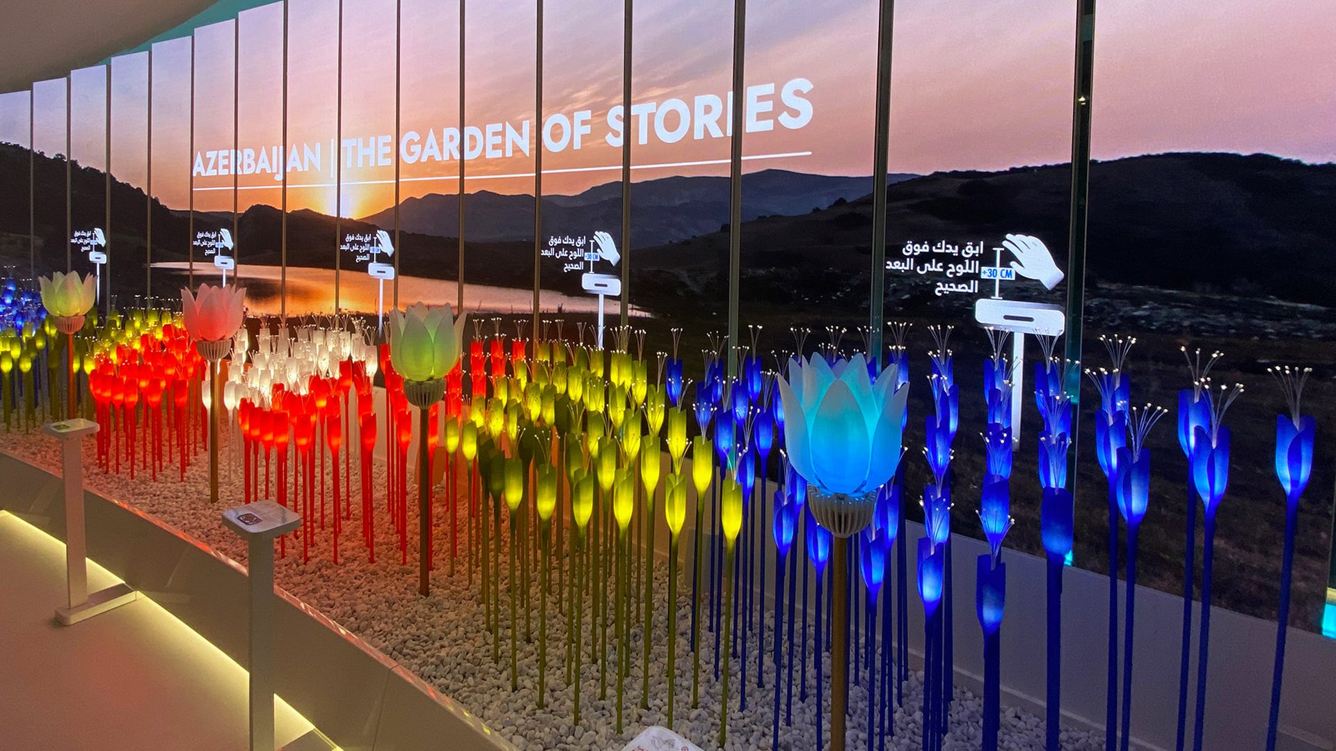 I fiori LED sul soffitto del padiglione Azerbaigian a Dubai Expo